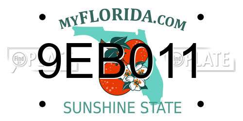 9EB011 Florida License Plate
