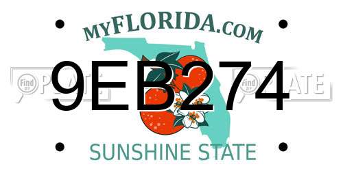 9EB274 Florida License Plate