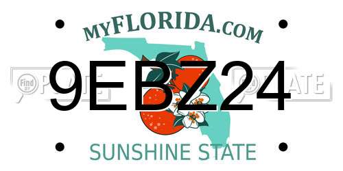 9EBZ24 Florida License Plate