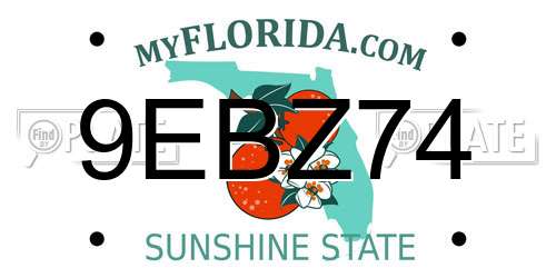 9EBZ74 Florida License Plate