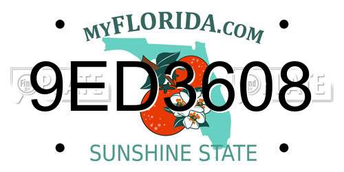 9ED3608 Florida License Plate