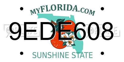 9EDE608 Florida License Plate