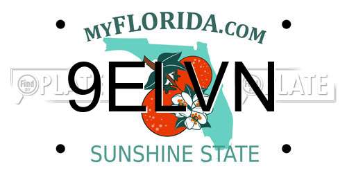 9ELVN Florida License Plate