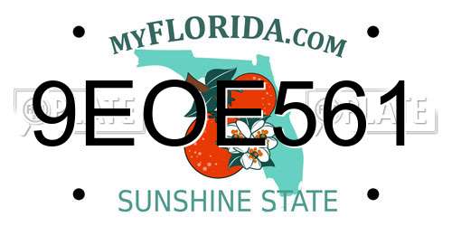 9EOE561 Florida License Plate