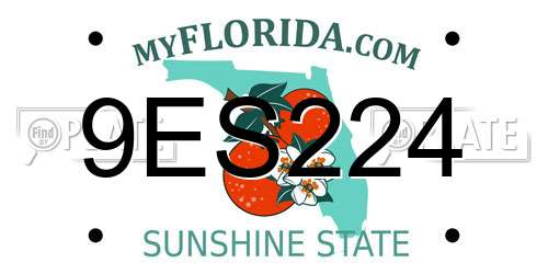 9ES224 Florida License Plate
