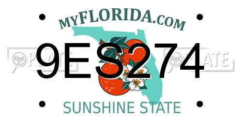 9ES274 Florida License Plate