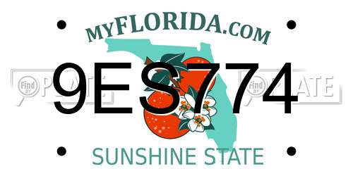 9ES774 Florida License Plate