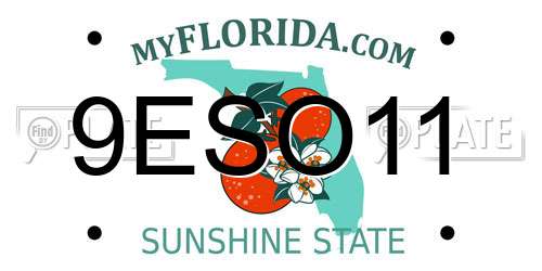 9ESO11 Florida License Plate