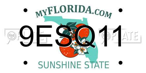 9ESQ11 Florida License Plate