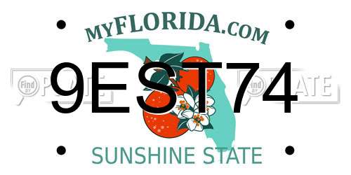 9EST74 Florida License Plate