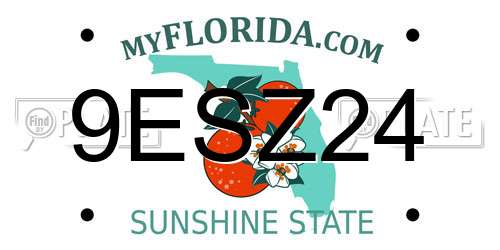 9ESZ24 Florida License Plate
