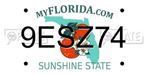 9ESZ74 Florida License Plate