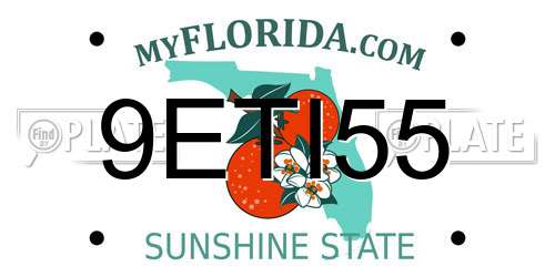 9ETI55 Florida License Plate