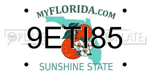 9ETI85 Florida License Plate
