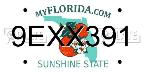 9EXX391 Florida License Plate