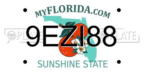9EZI88 Florida License Plate