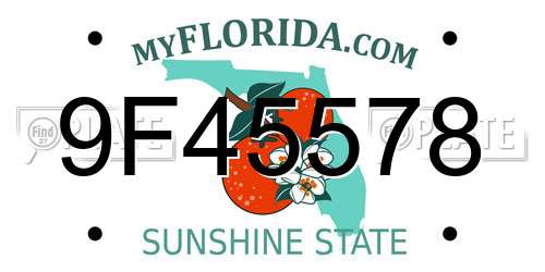 9F45578 Florida License Plate