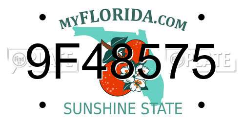 9F48575 Florida License Plate