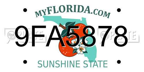 9FA5878 Florida License Plate