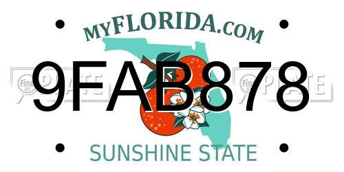 9FAB878 Florida License Plate