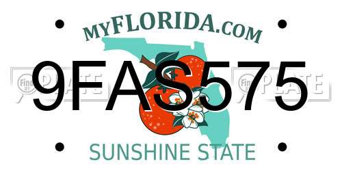 9FAS575 Florida License Plate