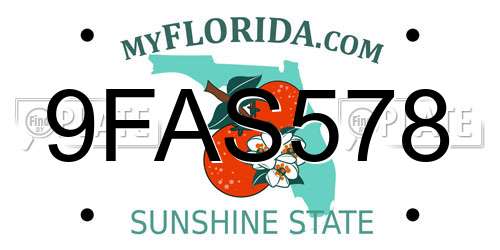 9FAS578 Florida License Plate