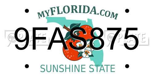 9FAS875 Florida License Plate