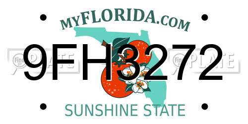 9FH3272 Florida License Plate