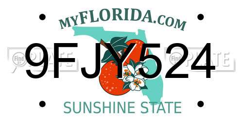 9FJY524 Florida License Plate