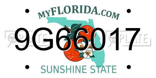 9G66017 Florida License Plate