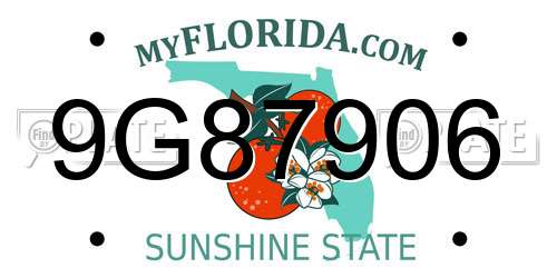 9G87906 Florida License Plate
