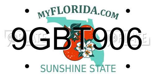 9GBT906 Florida License Plate
