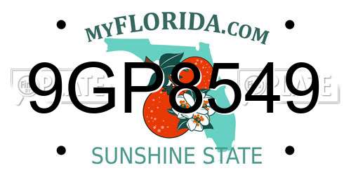 9GP8549 Florida License Plate