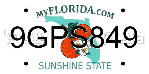 9GPS849 Florida License Plate