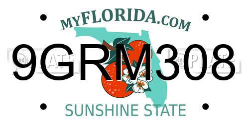 9GRM308 Florida License Plate
