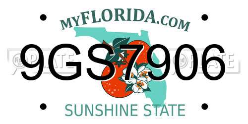 9GS7906 Florida License Plate