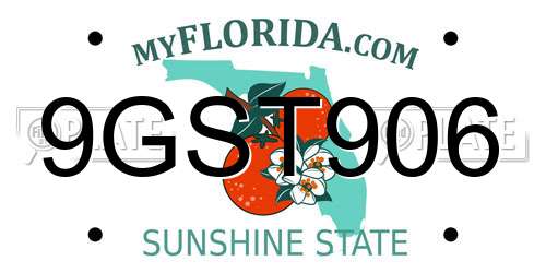 9GST906 Florida License Plate