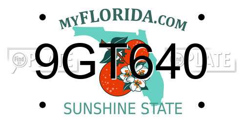 9GT640 Florida License Plate