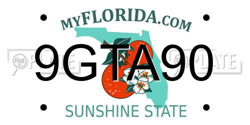 9GTA90 Florida License Plate