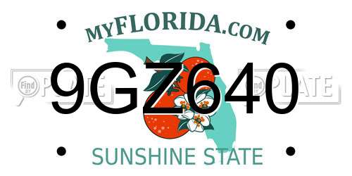 9GZ640 Florida License Plate