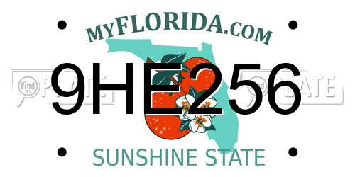 9HE256 Florida License Plate