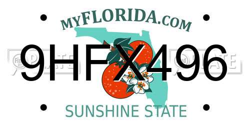 9HFX496 Florida License Plate