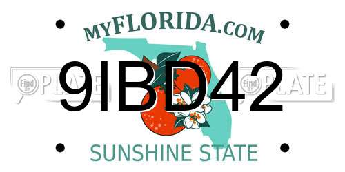 9IBD42 Florida License Plate