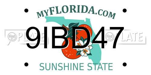9IBD47 Florida License Plate