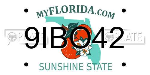 9IBO42 Florida License Plate