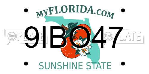 9IBO47 Florida License Plate