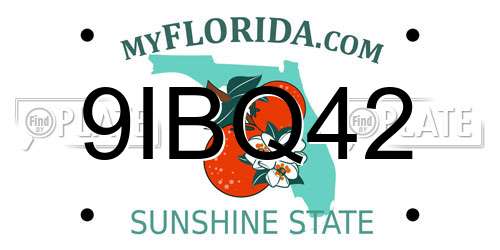 9IBQ42 Florida License Plate