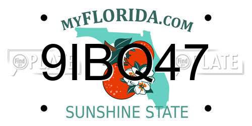9IBQ47 Florida License Plate