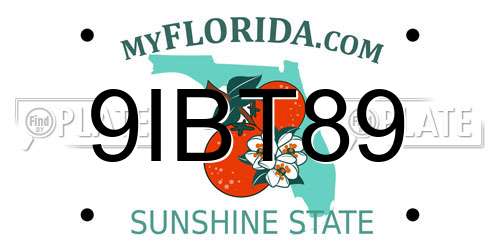 9IBT89 Florida License Plate