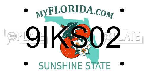 9IKS02 Florida License Plate